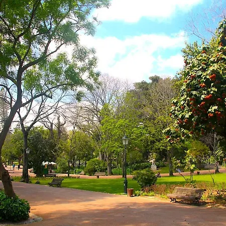 The Artist's In Campo De Ourique Διαμέρισμα Lisboa